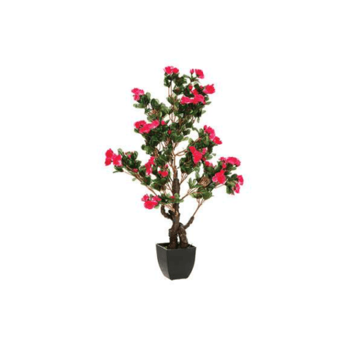 ATMOSPHERA UKRASNA BILJKA AZALEA