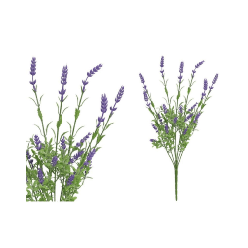 LAVANDA GRANA UKRASNA 49CM